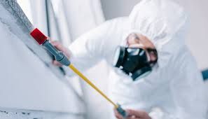 Best Fumigation Services  in Crookston, MN